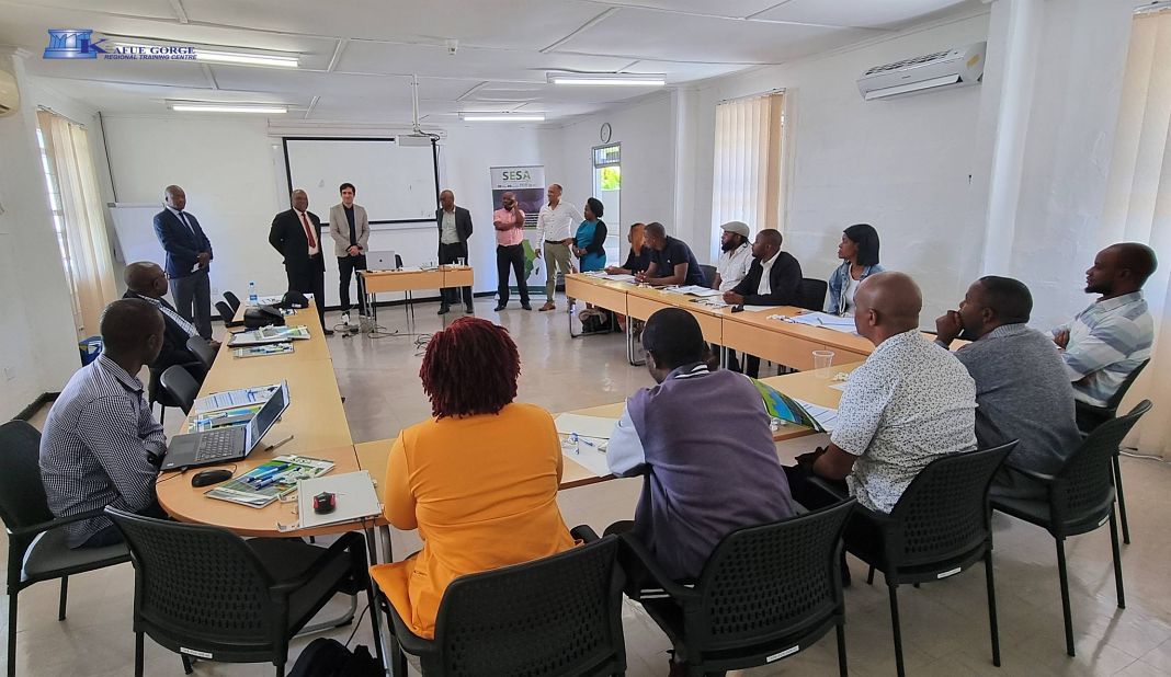 Power Quality and System Stability Training in Zambia